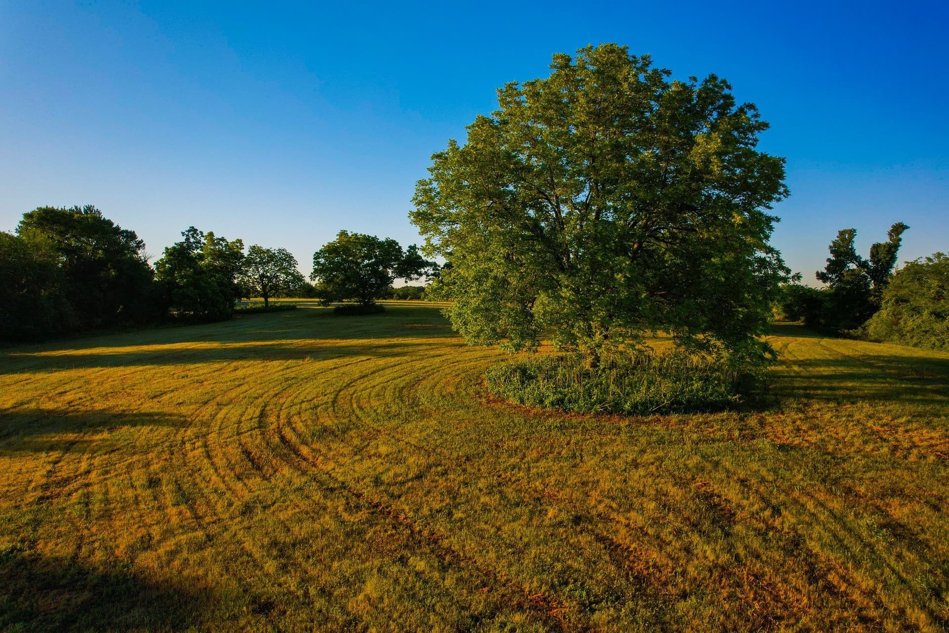45.99 acres in Fannin County - photo 29