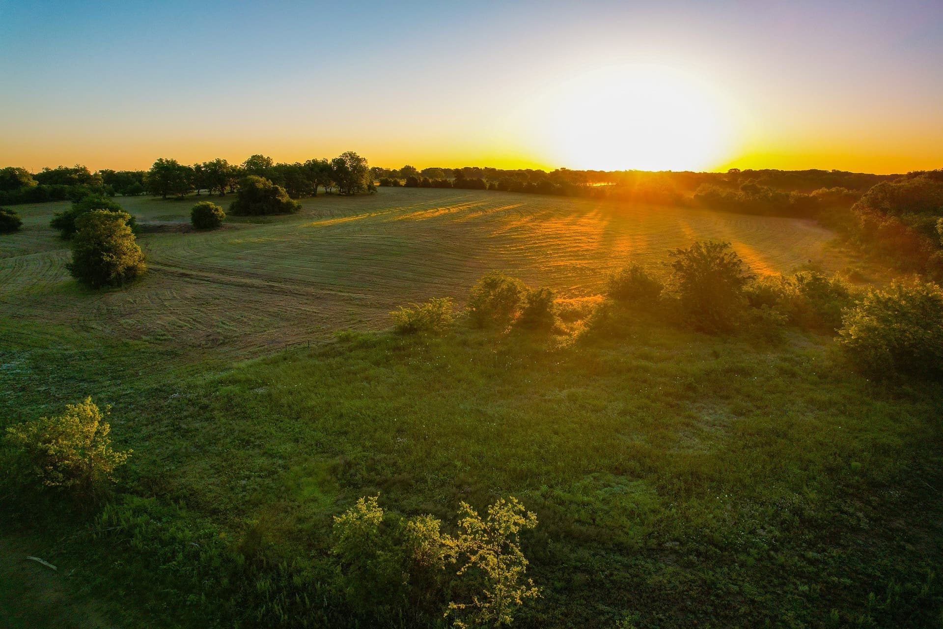 45.99 acres in Fannin County - photo 13