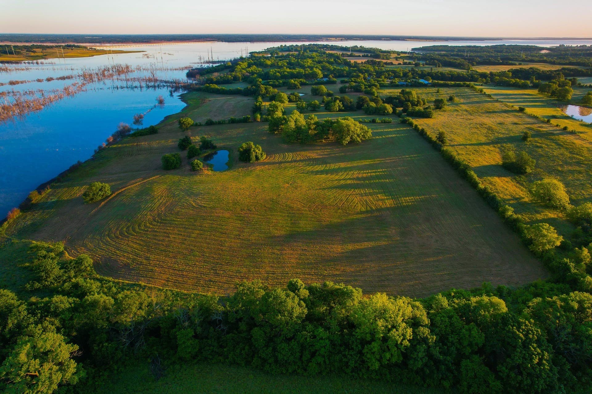 45.99 acres in Fannin County - photo 19