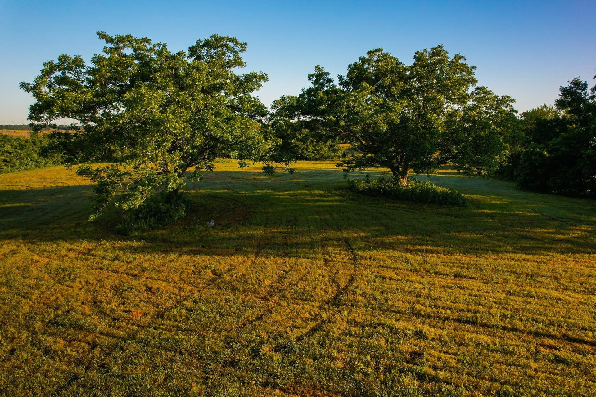 45.99 acres in Fannin County - photo 30