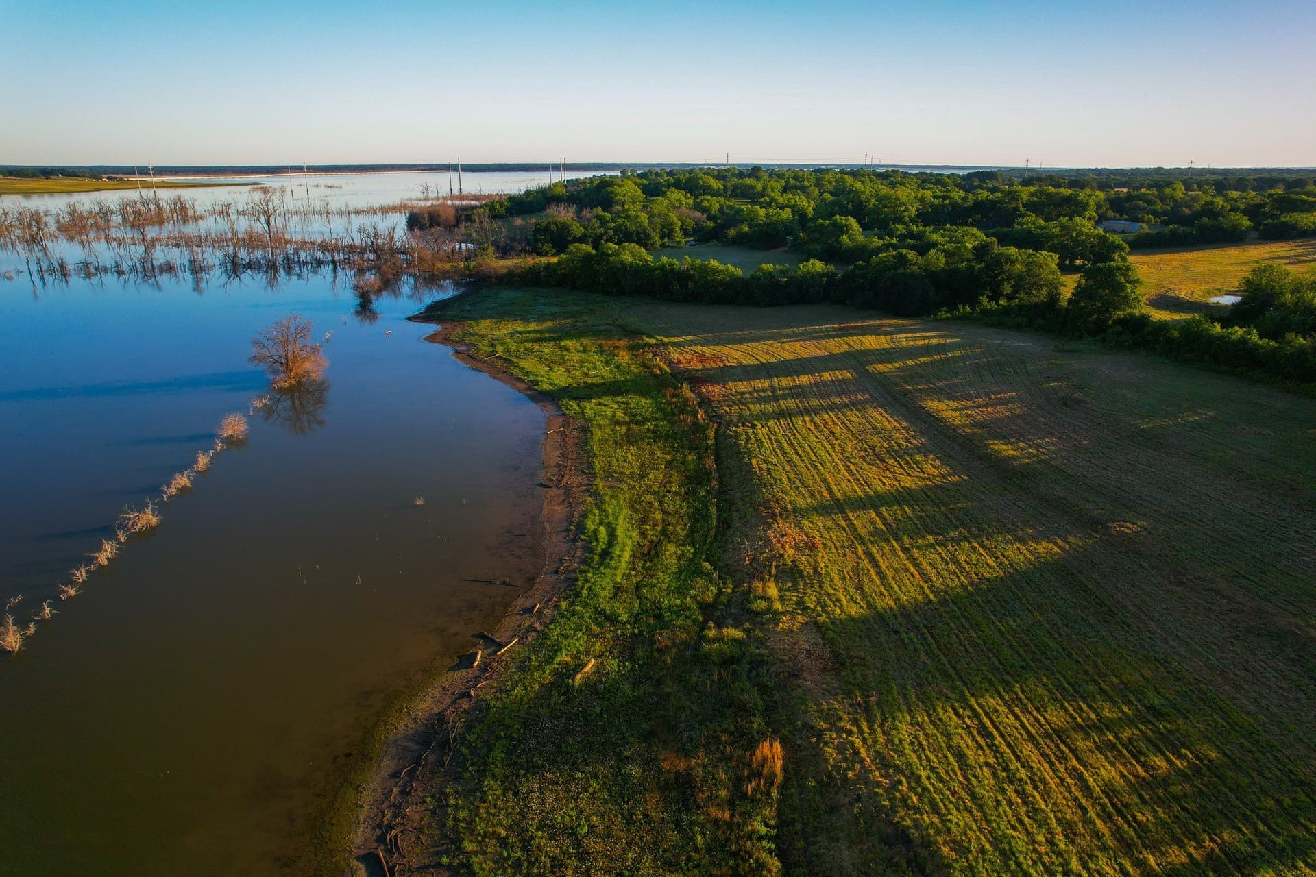 45.99 acres in Fannin County - photo 7