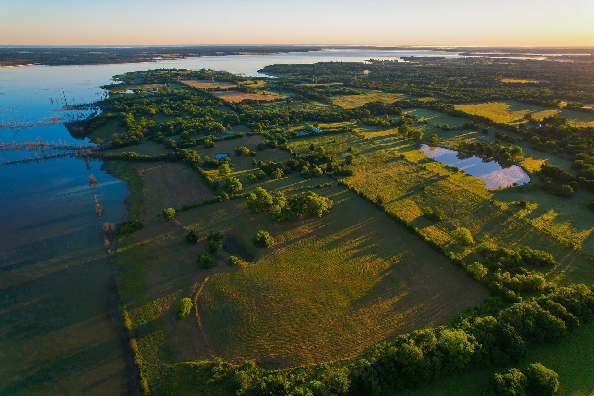 45.99 acres in Fannin County
