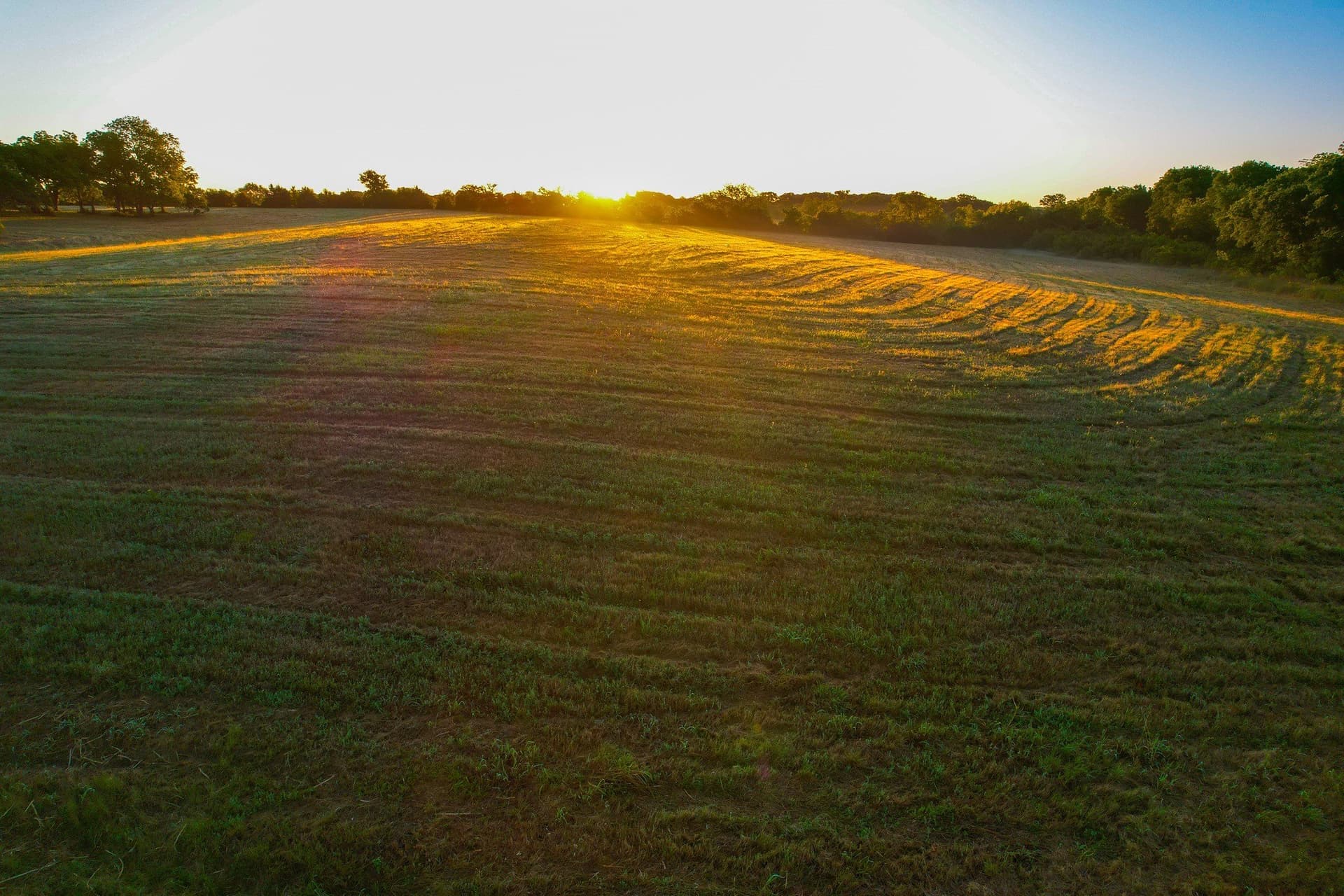 45.99 acres in Fannin County - photo 16