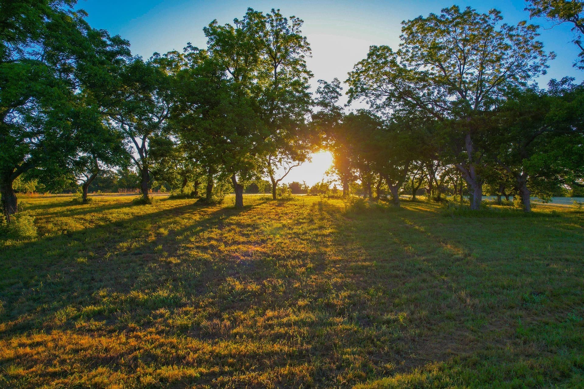 45.99 acres in Fannin County - photo 17