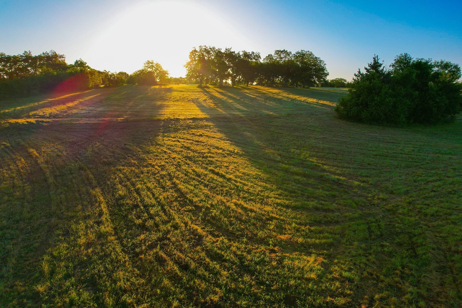 45.99 acres in Fannin County - photo 18