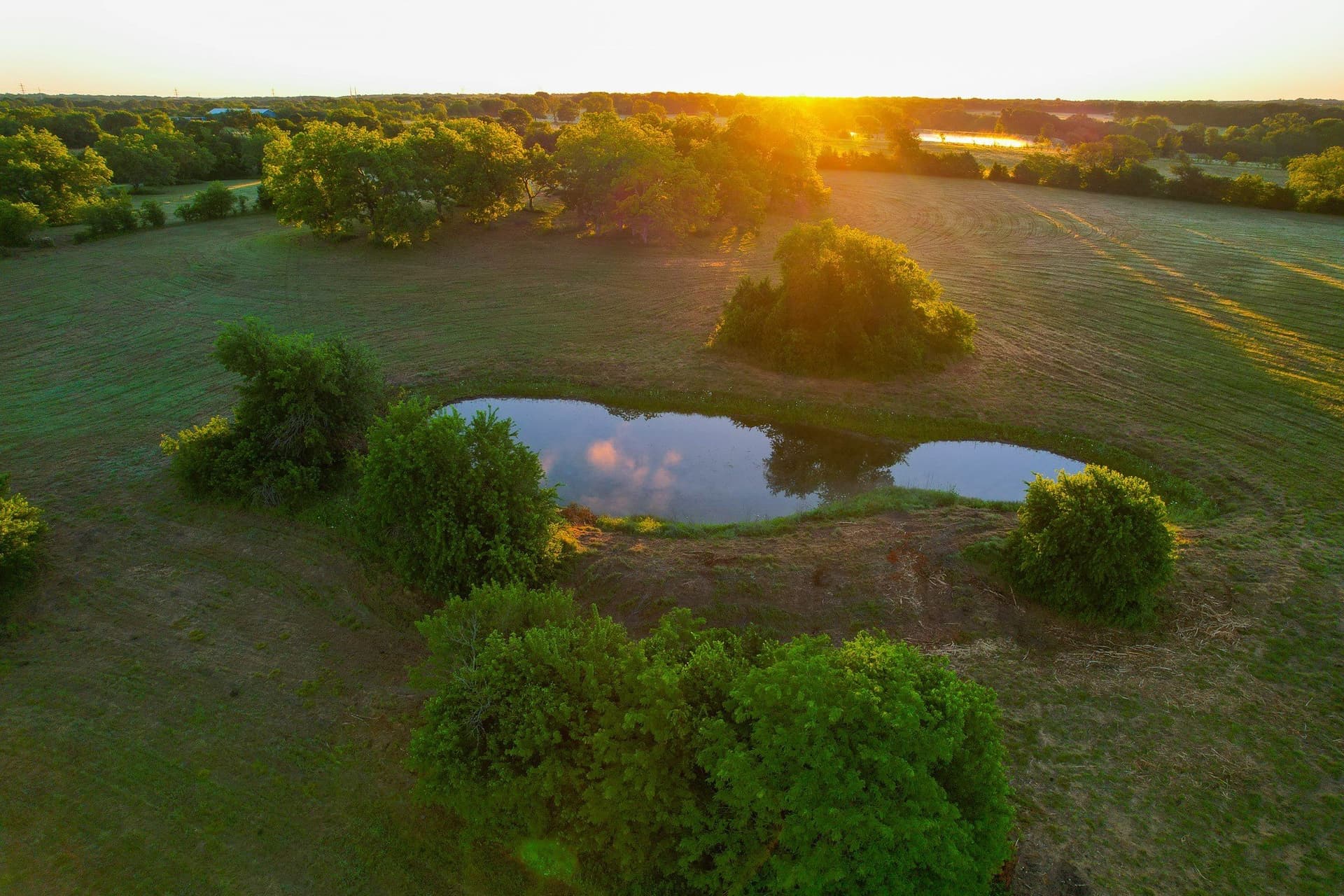 45.99 acres in Fannin County - photo 14