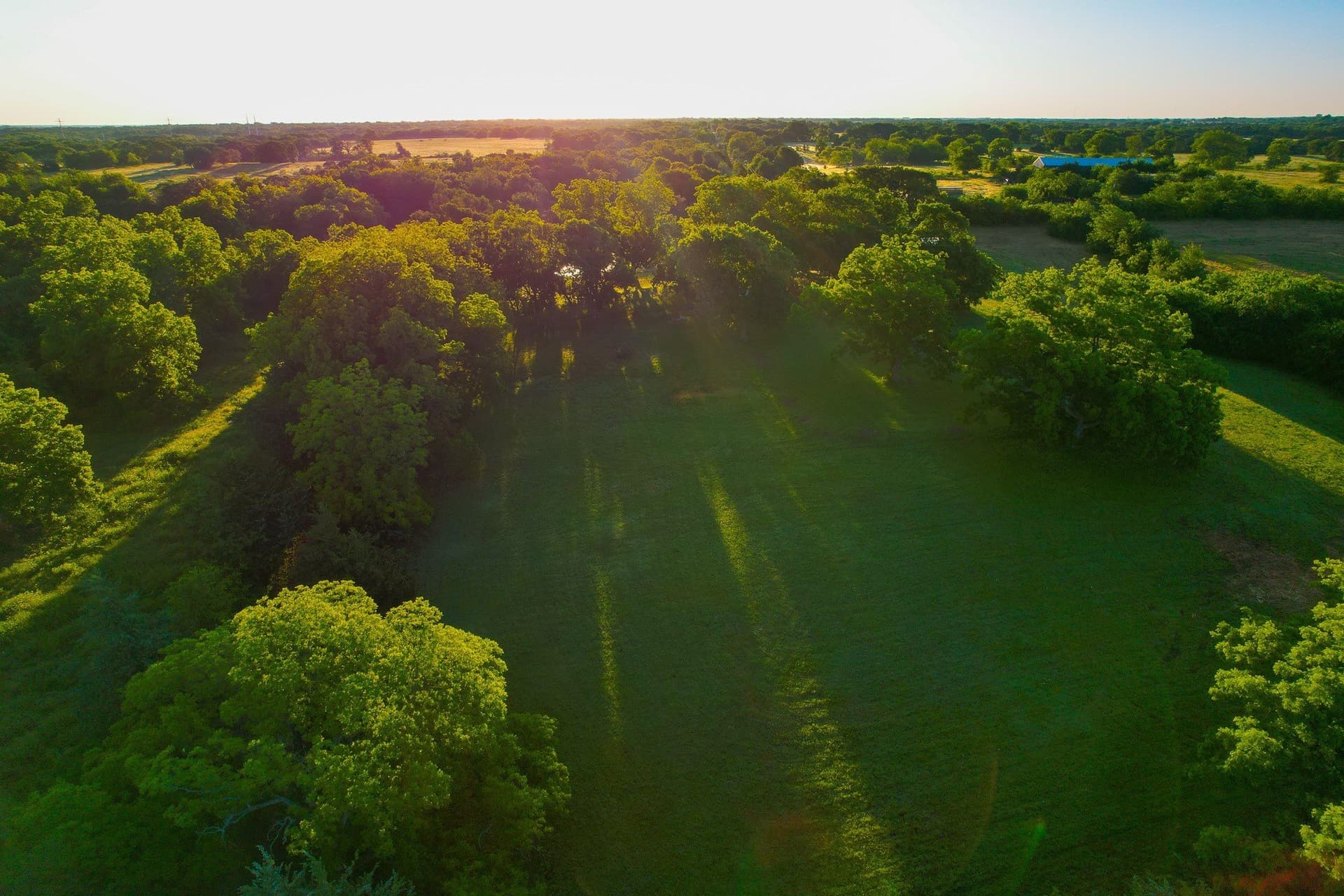 45.99 acres in Fannin County - photo 26