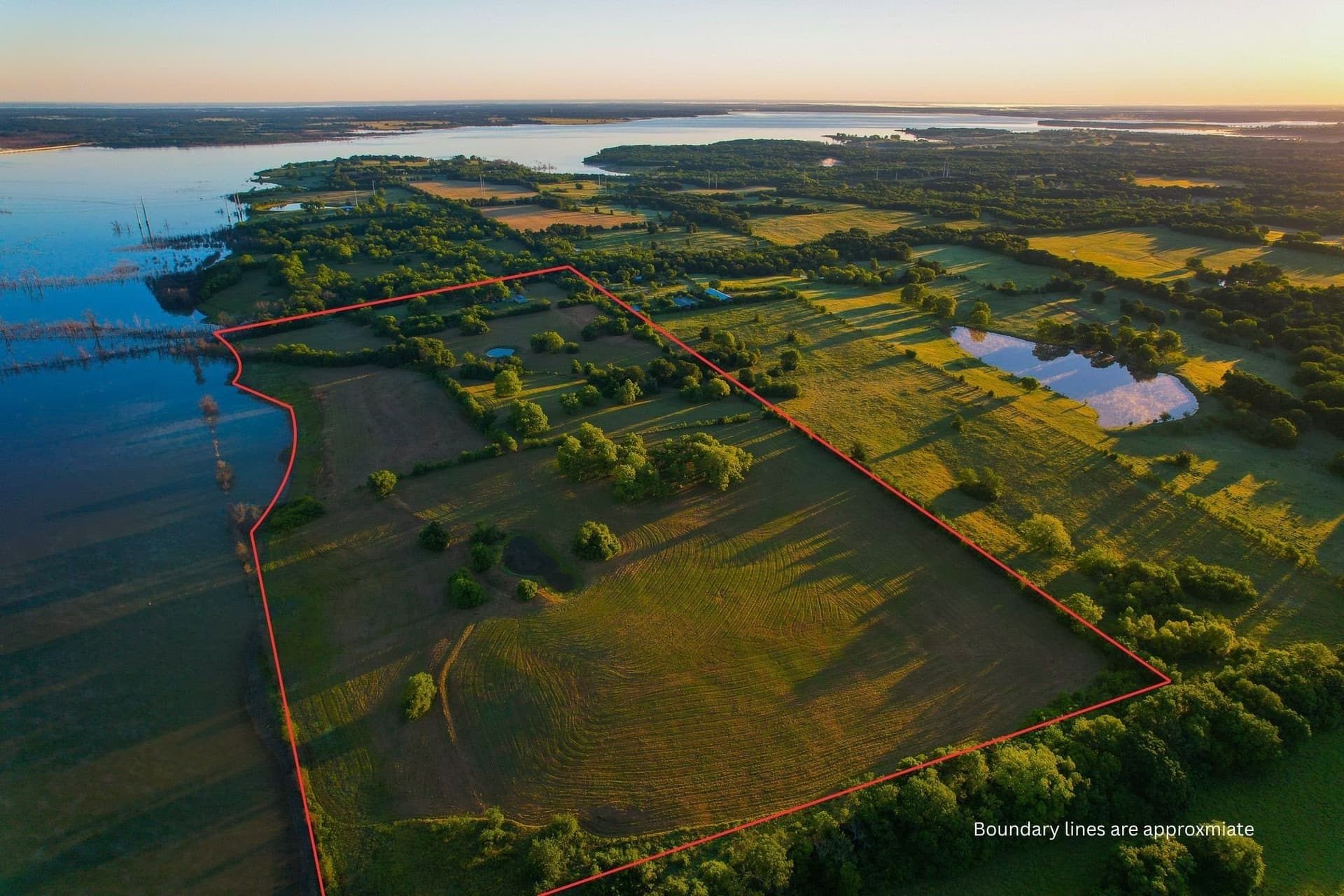 45.99 acres in Fannin County gallery image 3