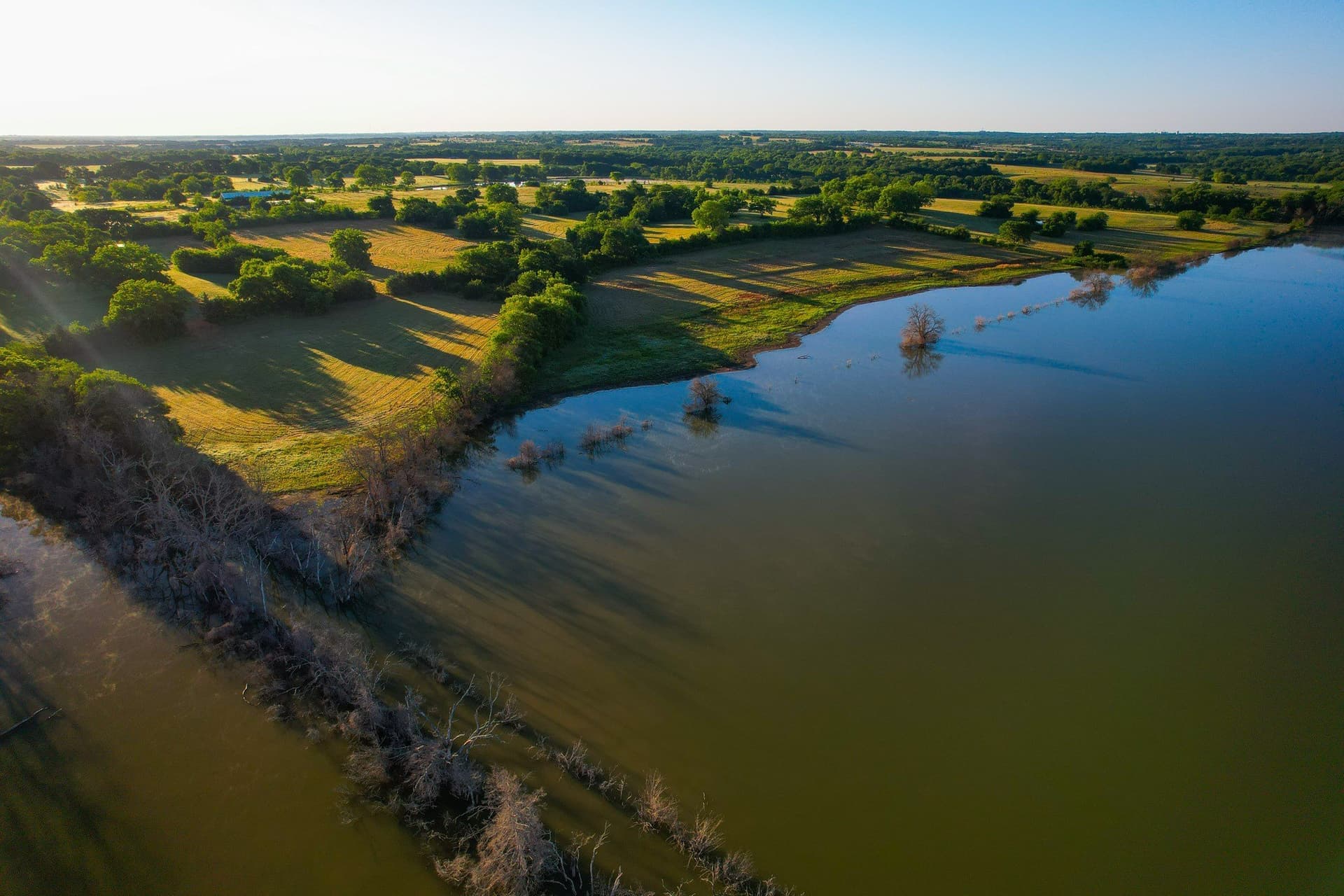 45.99 acres in Fannin County - photo 9