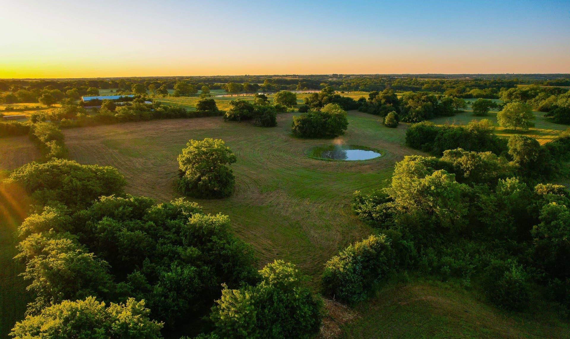 45.99 acres in Fannin County - photo 12