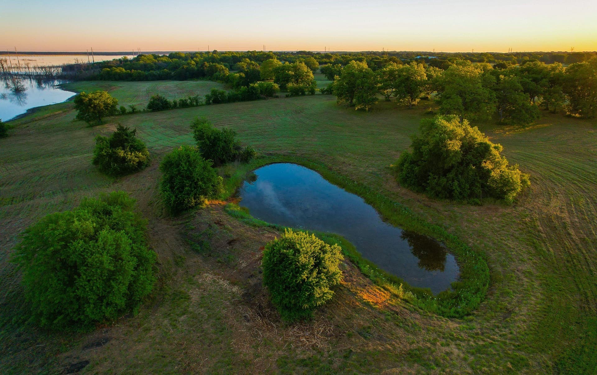 45.99 acres in Fannin County - photo 15