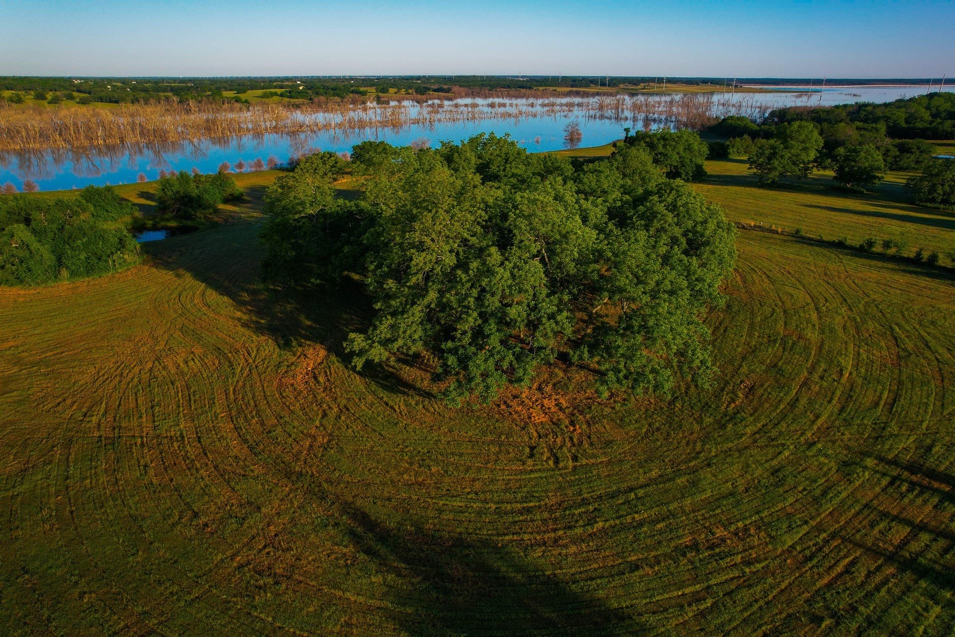 45.99 acres in Fannin County - photo 31
