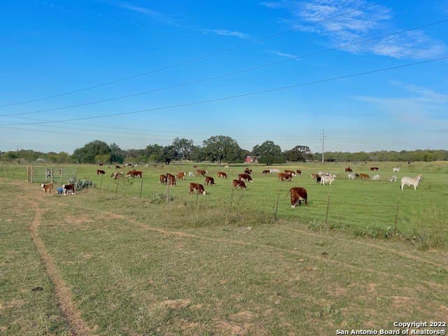 406.27 acres in Bexar County - photo 23