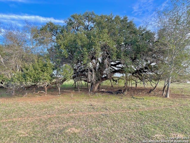 406.27 acres in Bexar County - photo 25