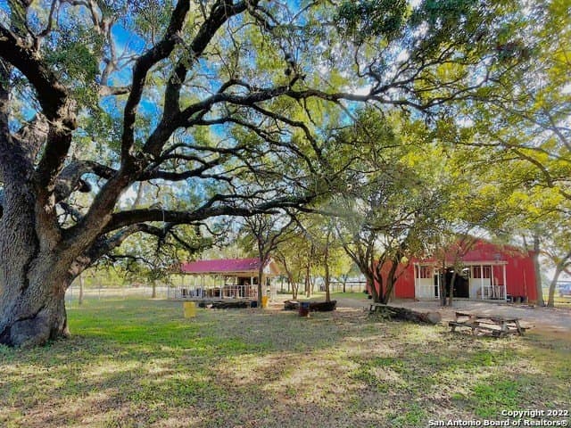 406.27 acres in Bexar County gallery image 2