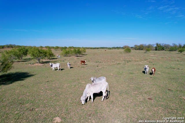 406.27 acres in Bexar County - photo 36