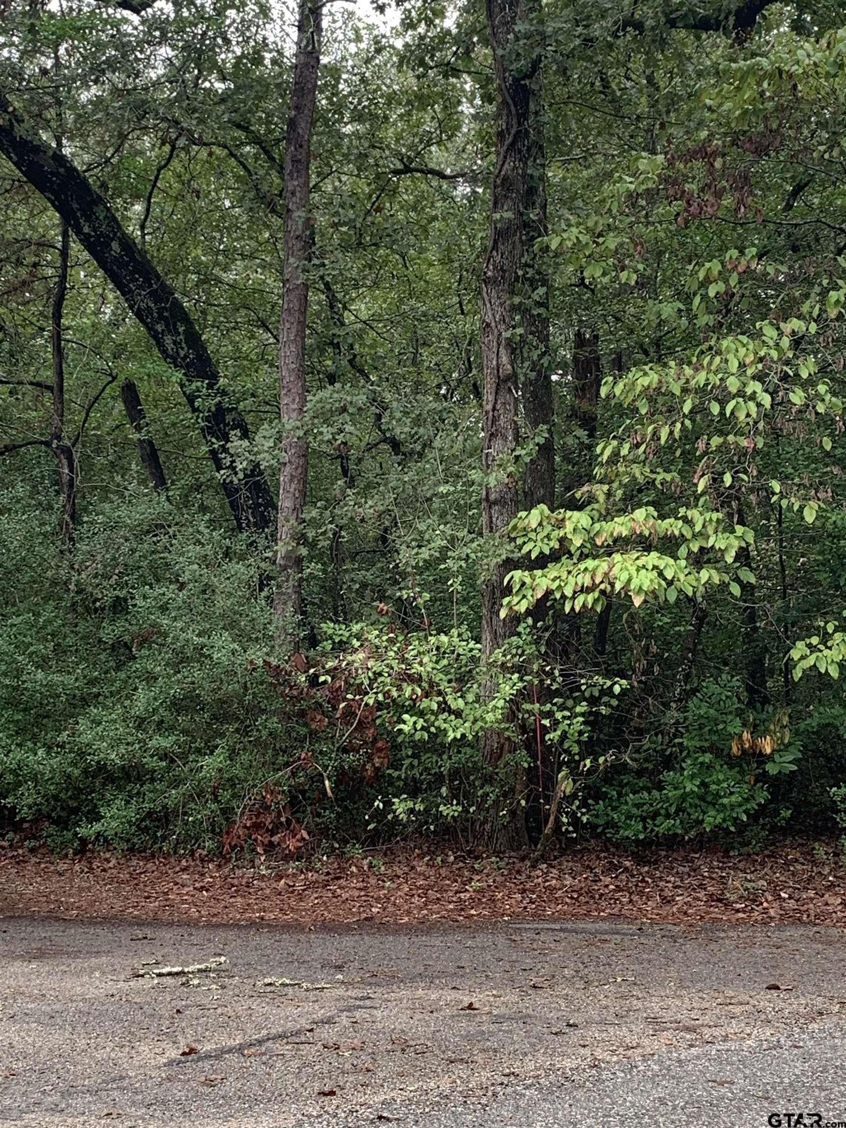 0 acres in Wood County - photo 4