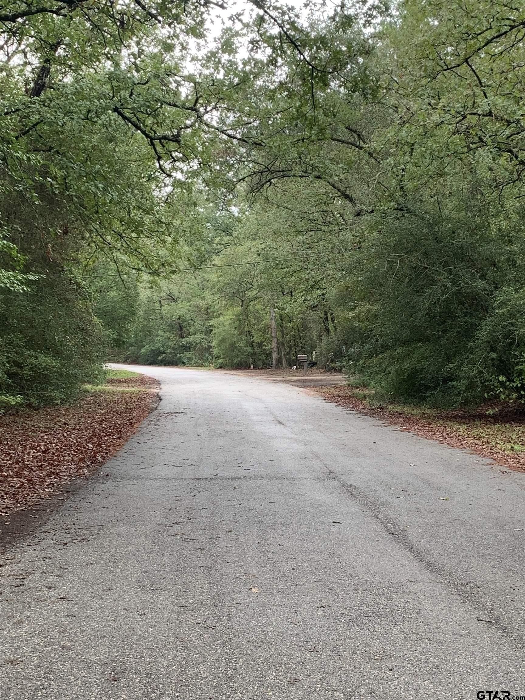 0 acres in Wood County - photo 2