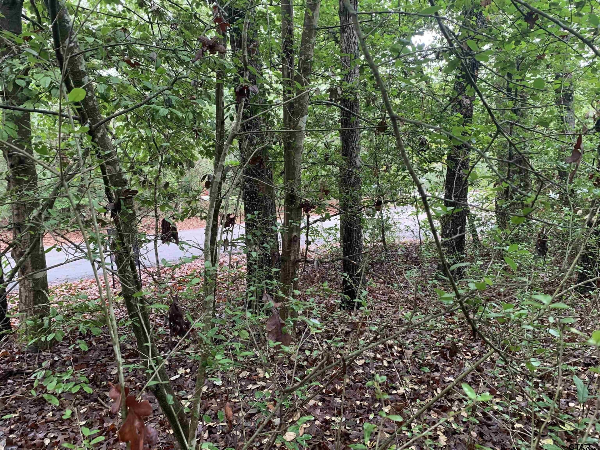0 acres in Wood County - photo 6