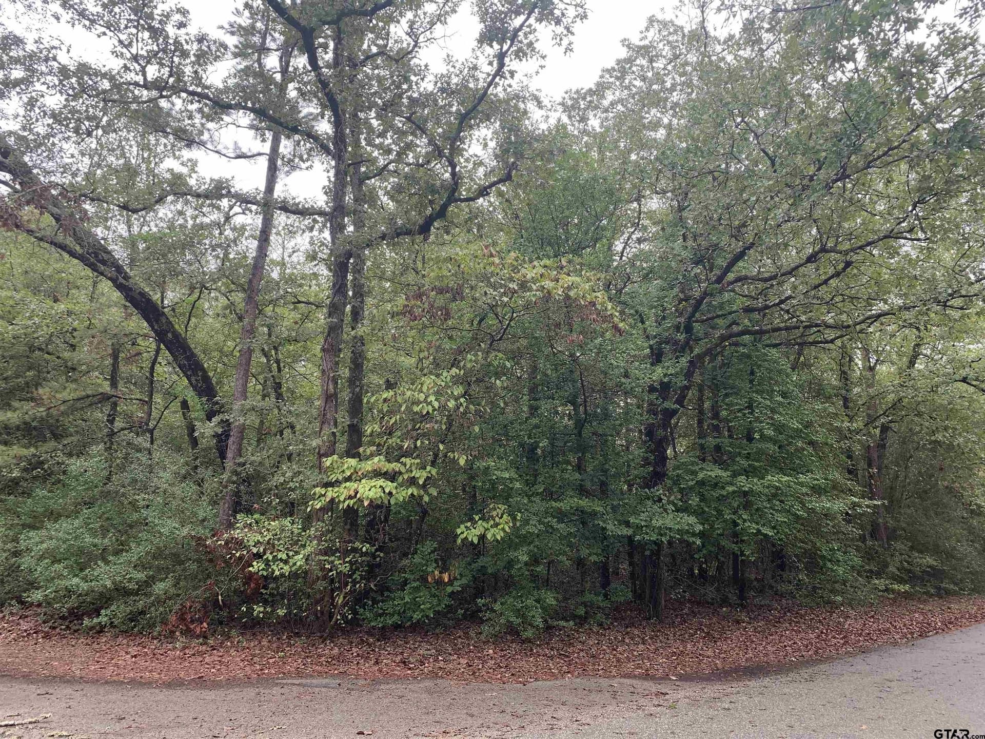 0 acres in Wood County - photo 5