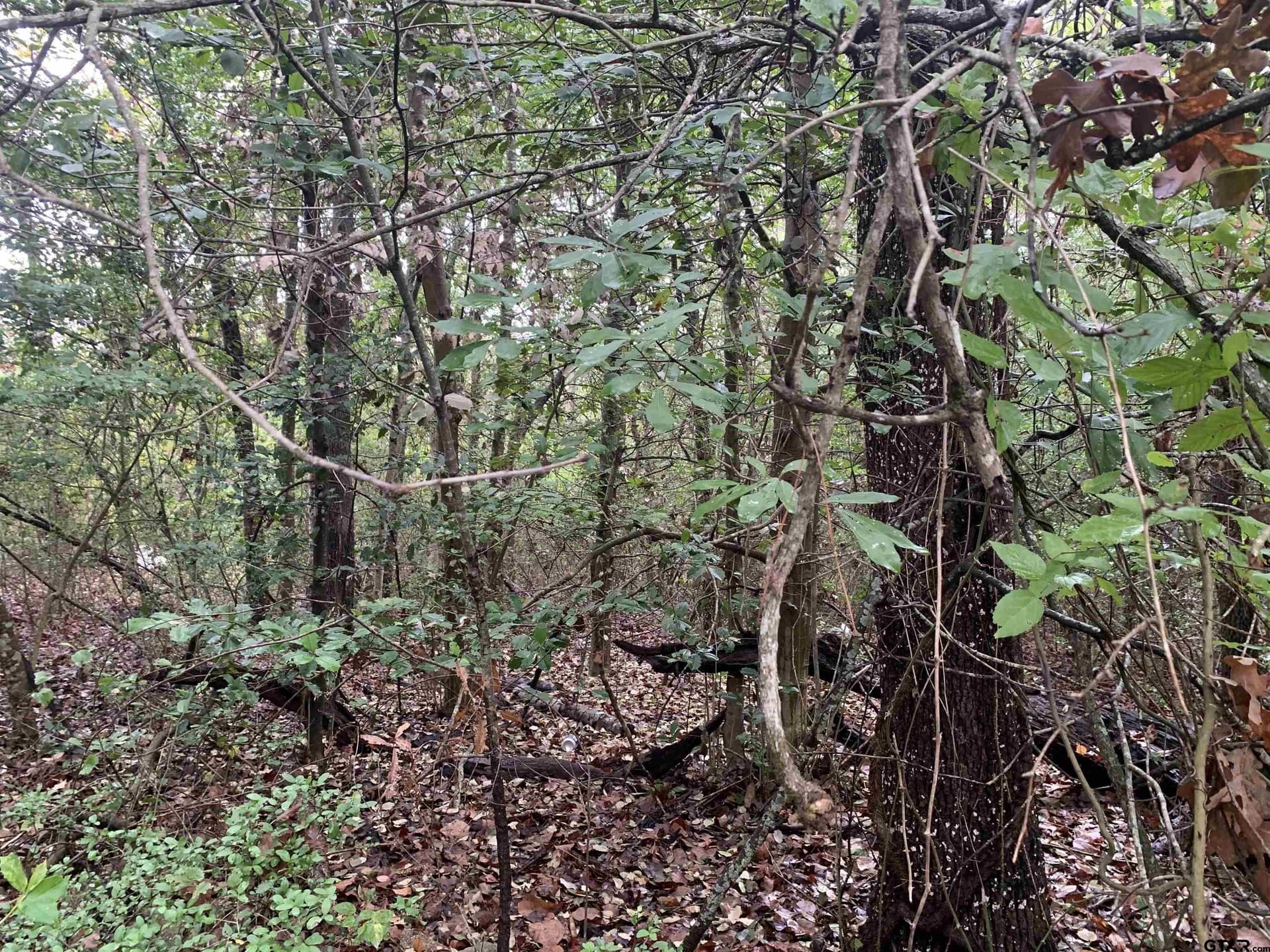 0 acres in Wood County - photo 17