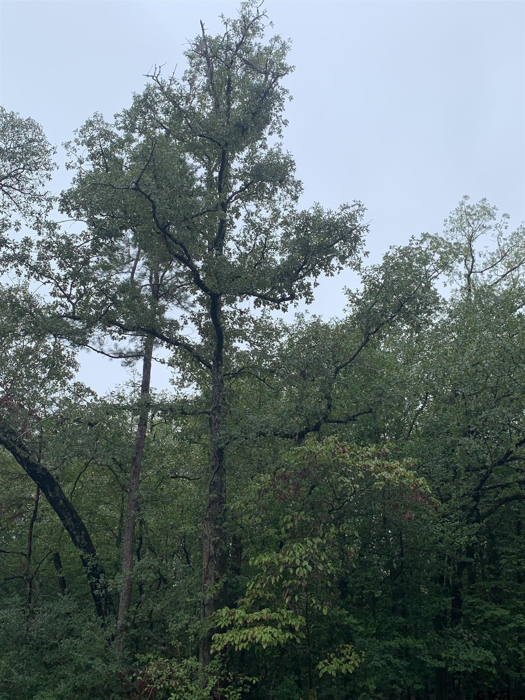 0 acres in Wood County