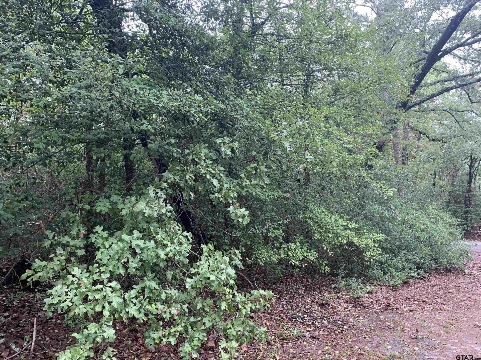 0 acres in Wood County - photo 18