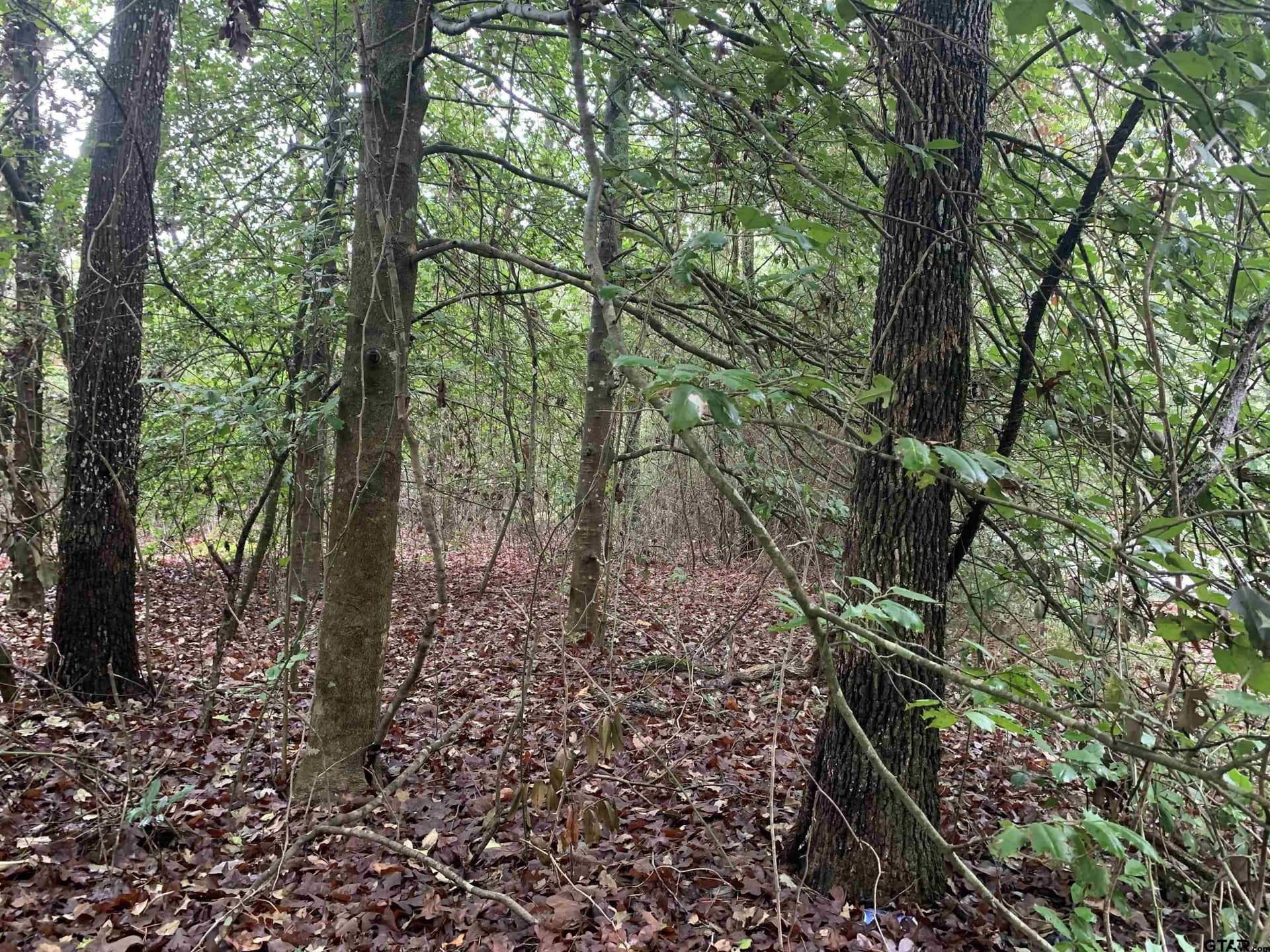 0 acres in Wood County - photo 20