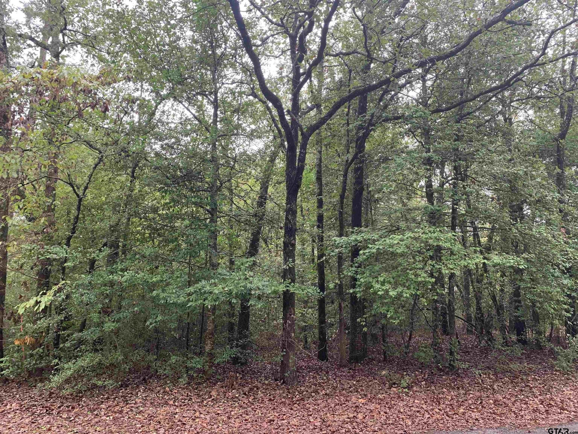 0 acres in Wood County - photo 19