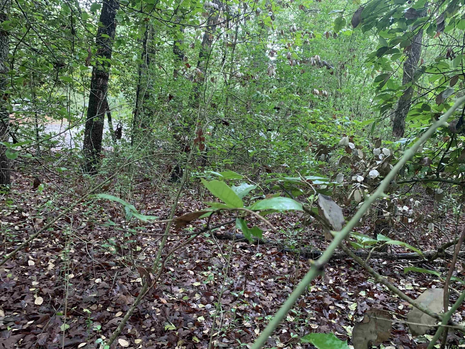 0 acres in Wood County - photo 21