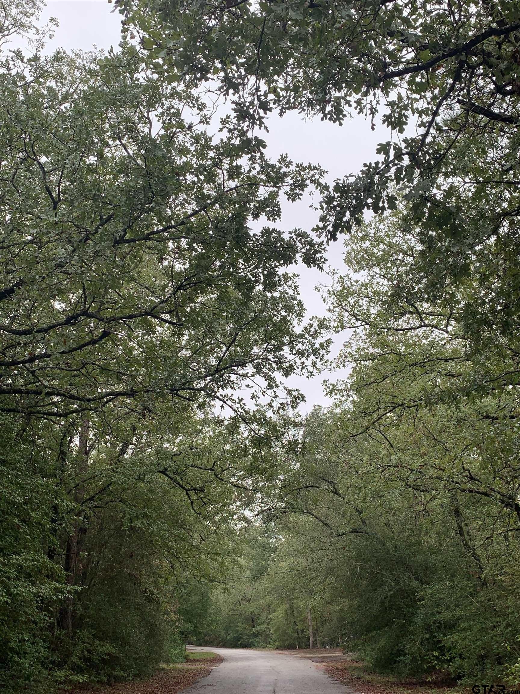 0 acres in Wood County - photo 3