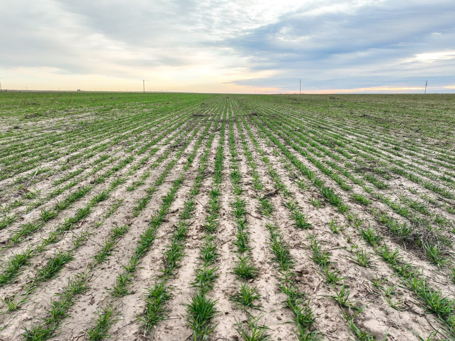 23.94 acres in Haskell County - photo 14