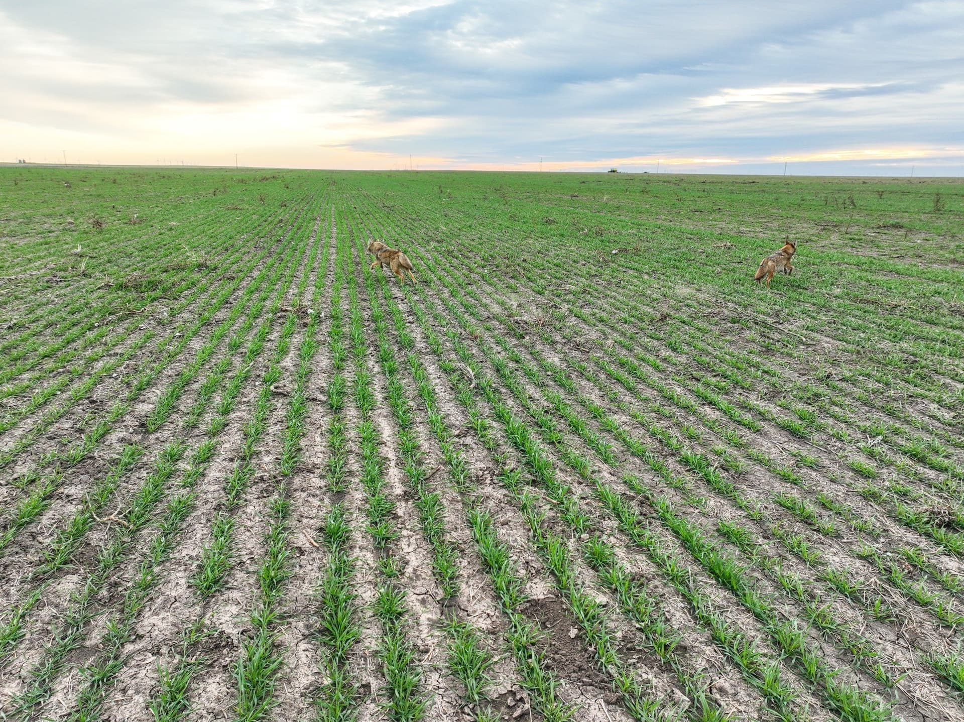 23.94 acres in Haskell County - photo 3