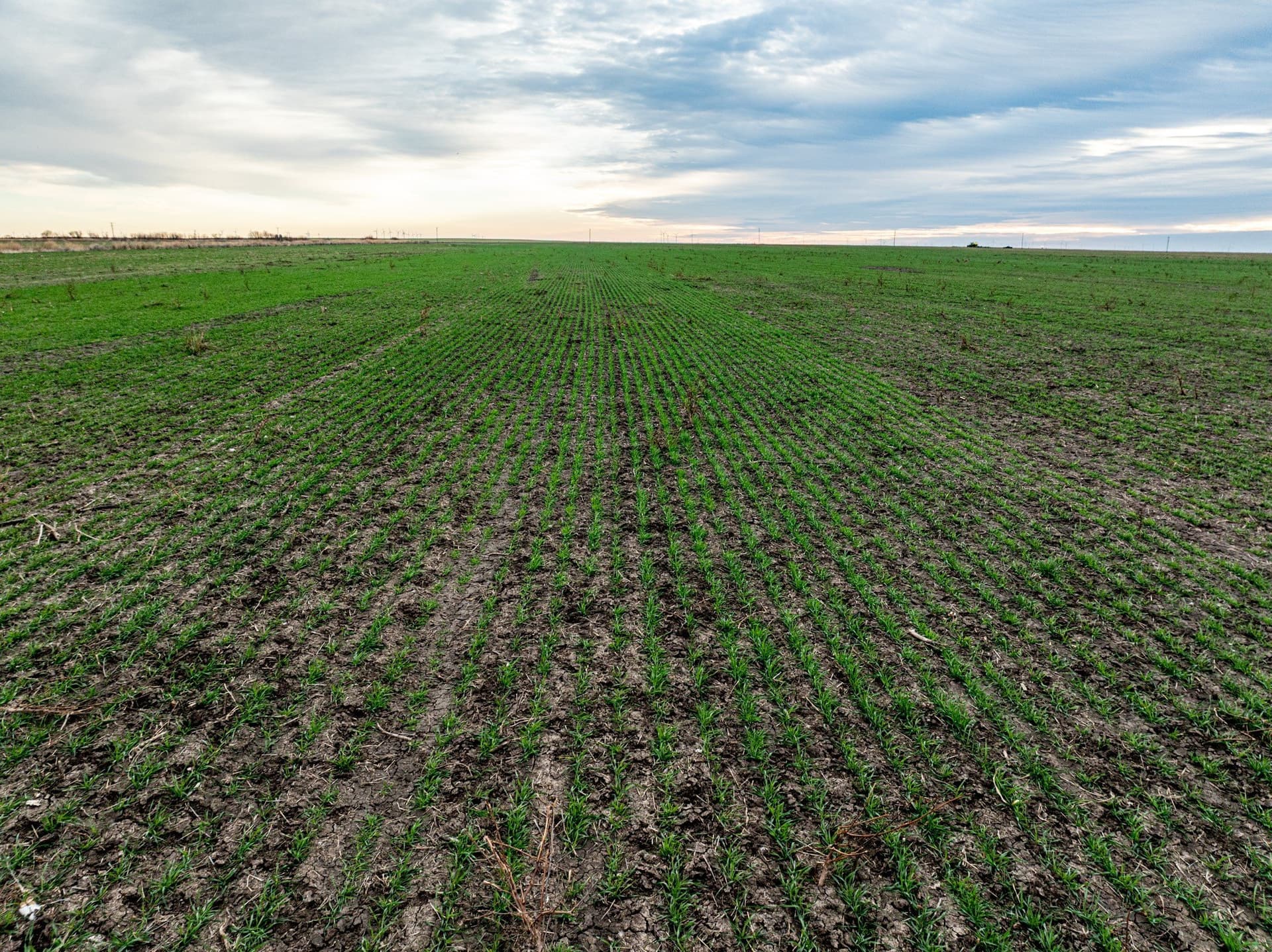 23.94 acres in Haskell County - photo 2