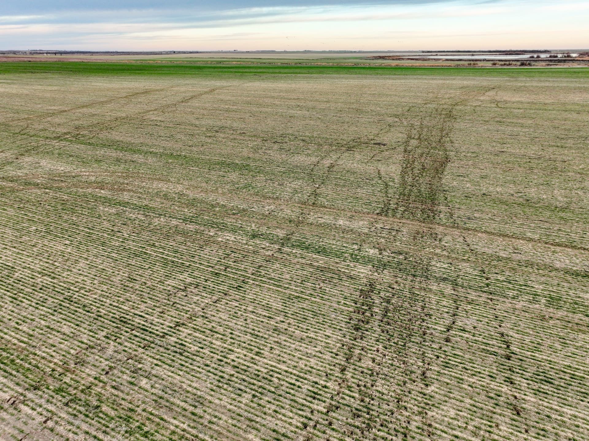 23.94 acres in Haskell County - photo 9
