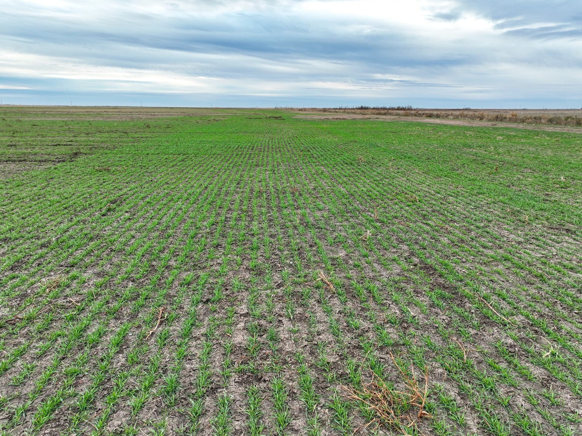 23.94 acres in Haskell County - photo 6