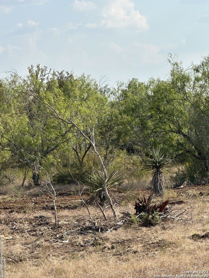 5.63 acres in Wilson County gallery image 3