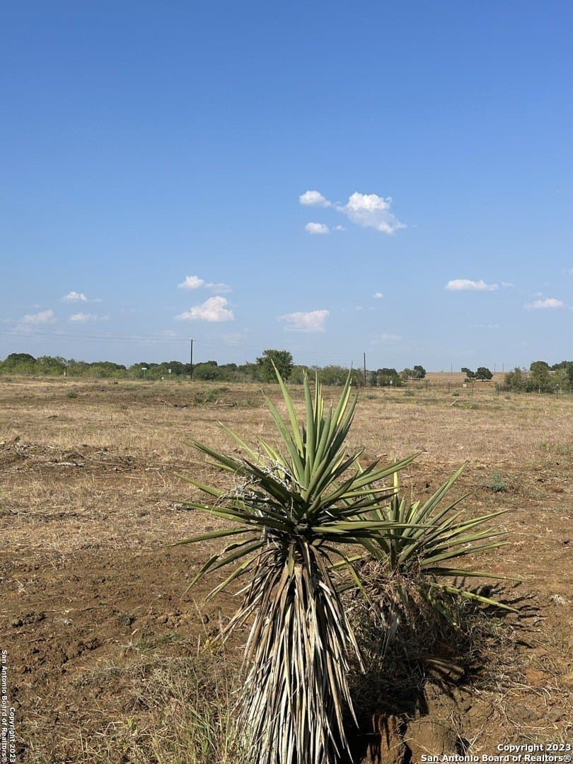 5.63 acres in Wilson County gallery image 2