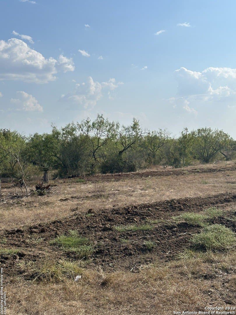 5.63 acres in Wilson County gallery image 4