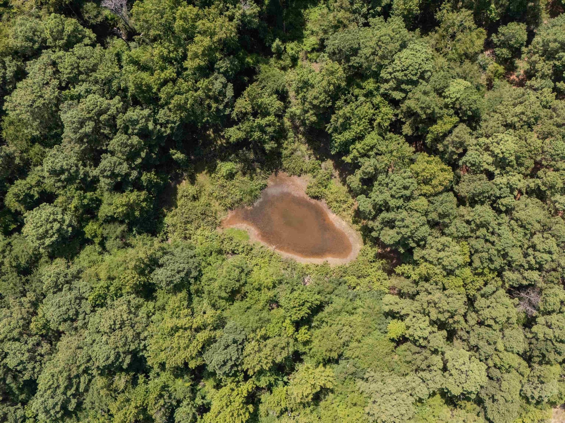 5.5 acres in Upshur County gallery image 3