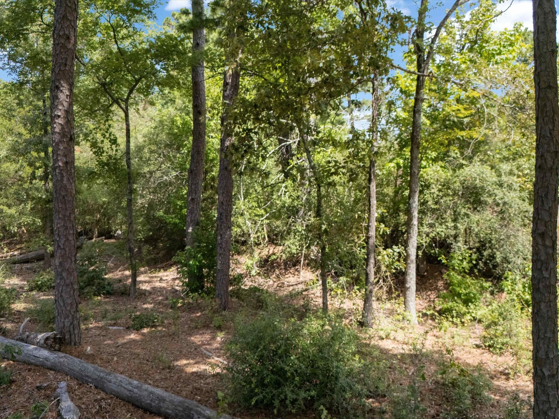 5.5 acres in Upshur County - photo 16