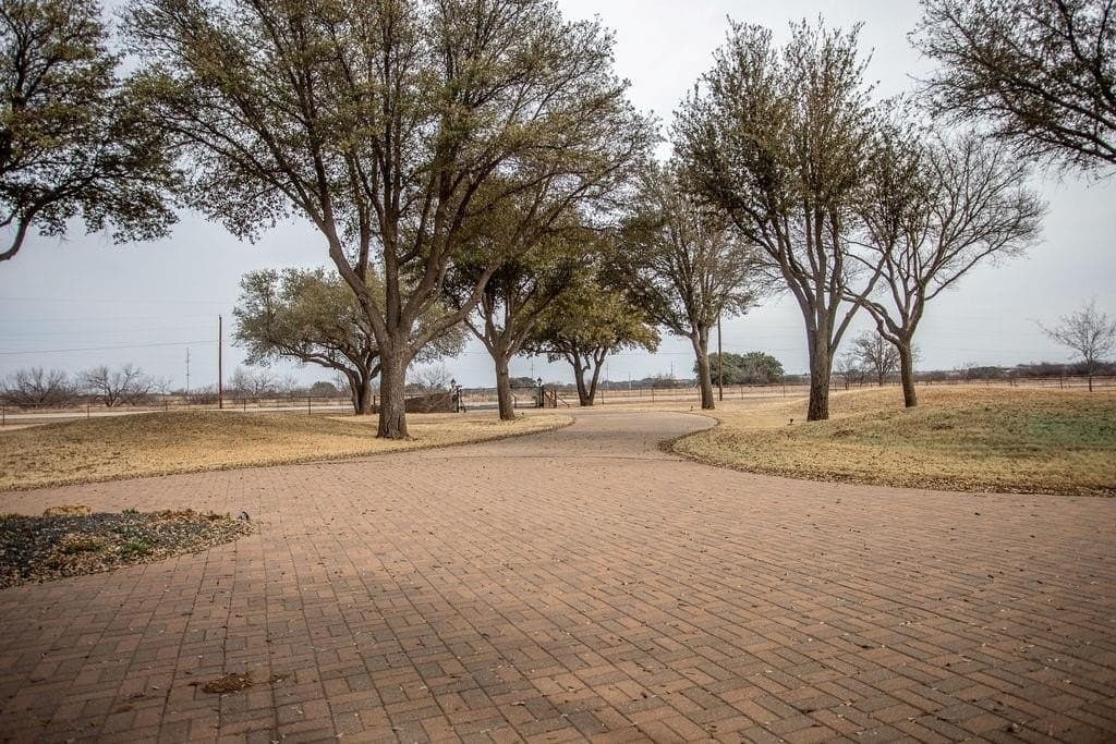 43 acres in Shackelford County gallery image 2