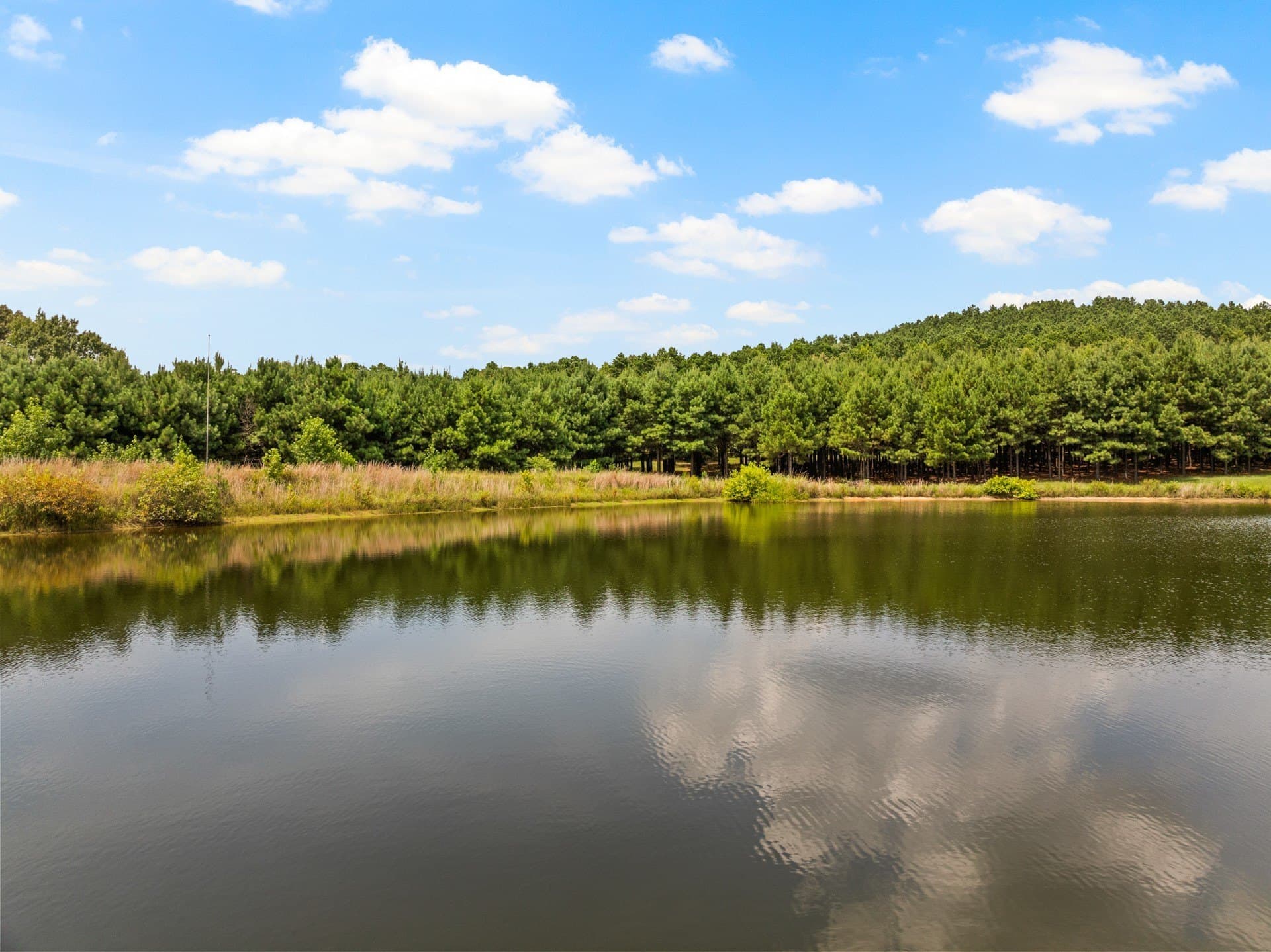24.48 acres in Morris County - photo 35