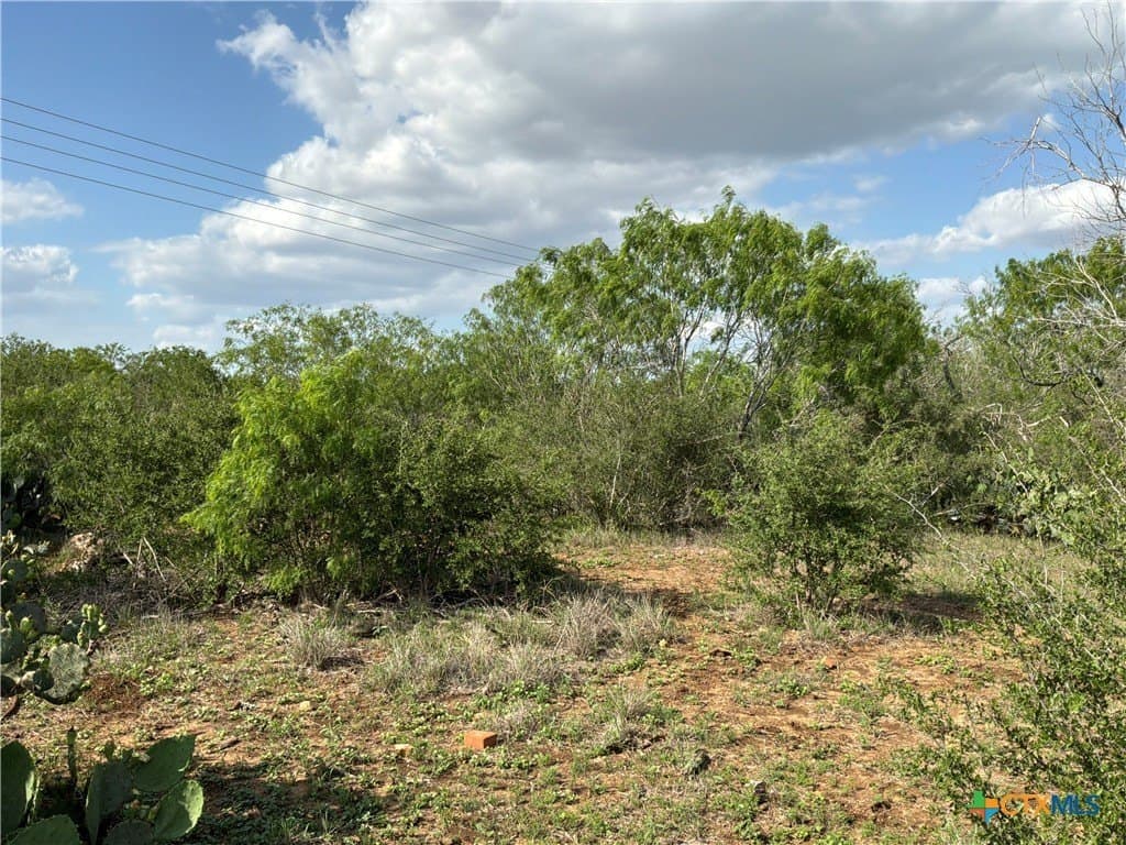 0.94 acres in Gonzales County featured view