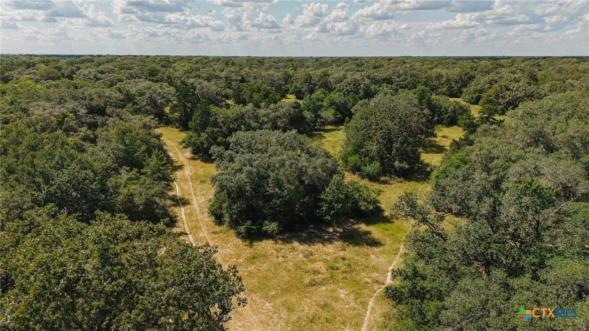 188.82 acres in Victoria County gallery image 2