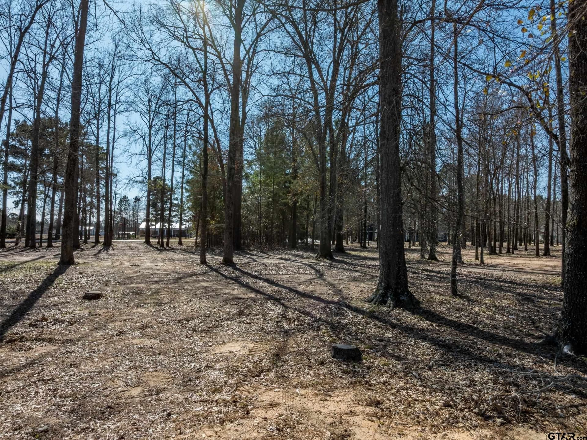 0.72 acres in Henderson County - photo 6
