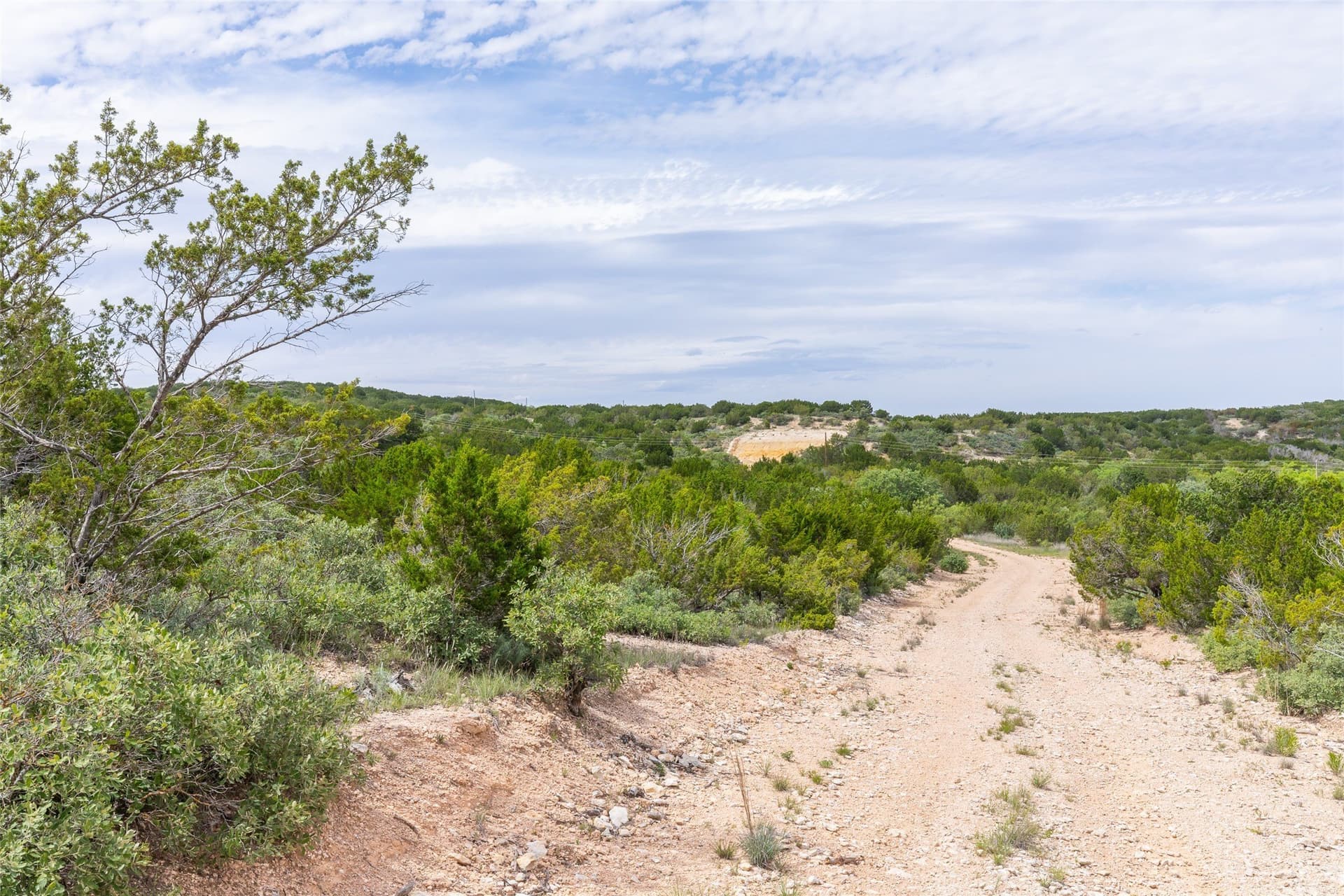 201.01 acres in Taylor County - photo 4