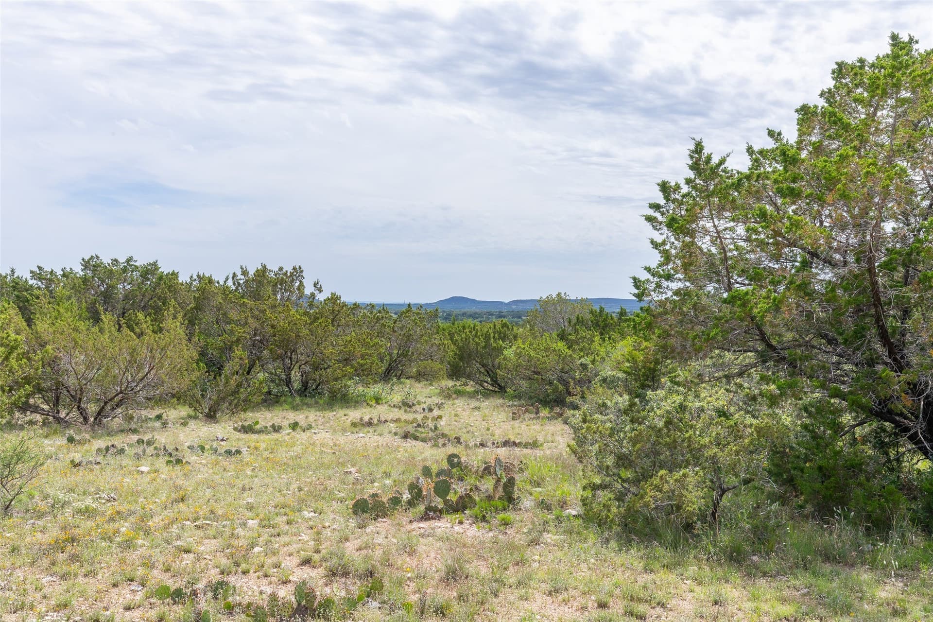 201.01 acres in Taylor County - photo 8