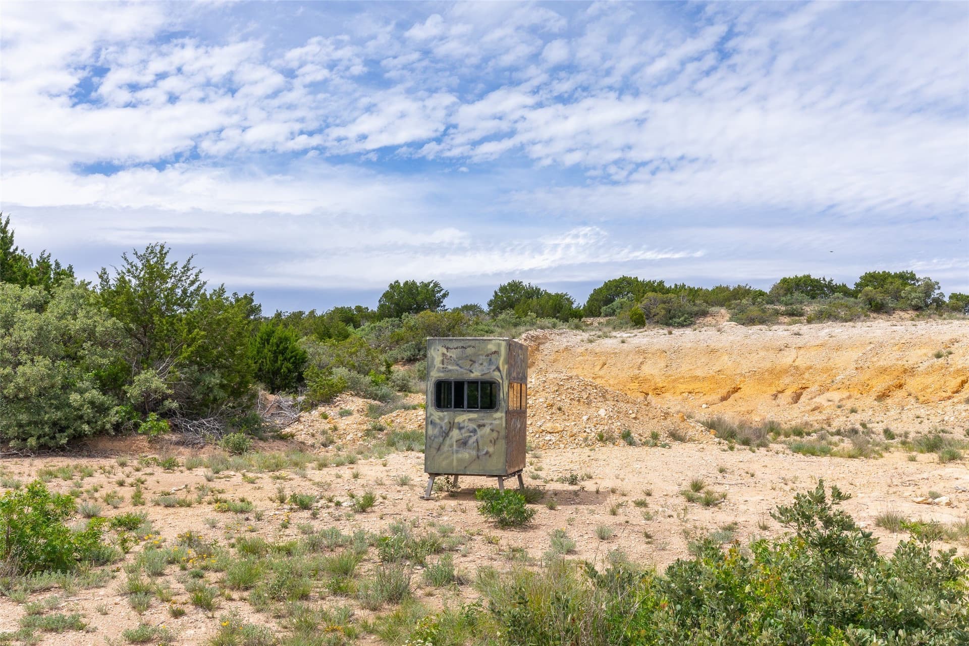 201.01 acres in Taylor County - photo 6
