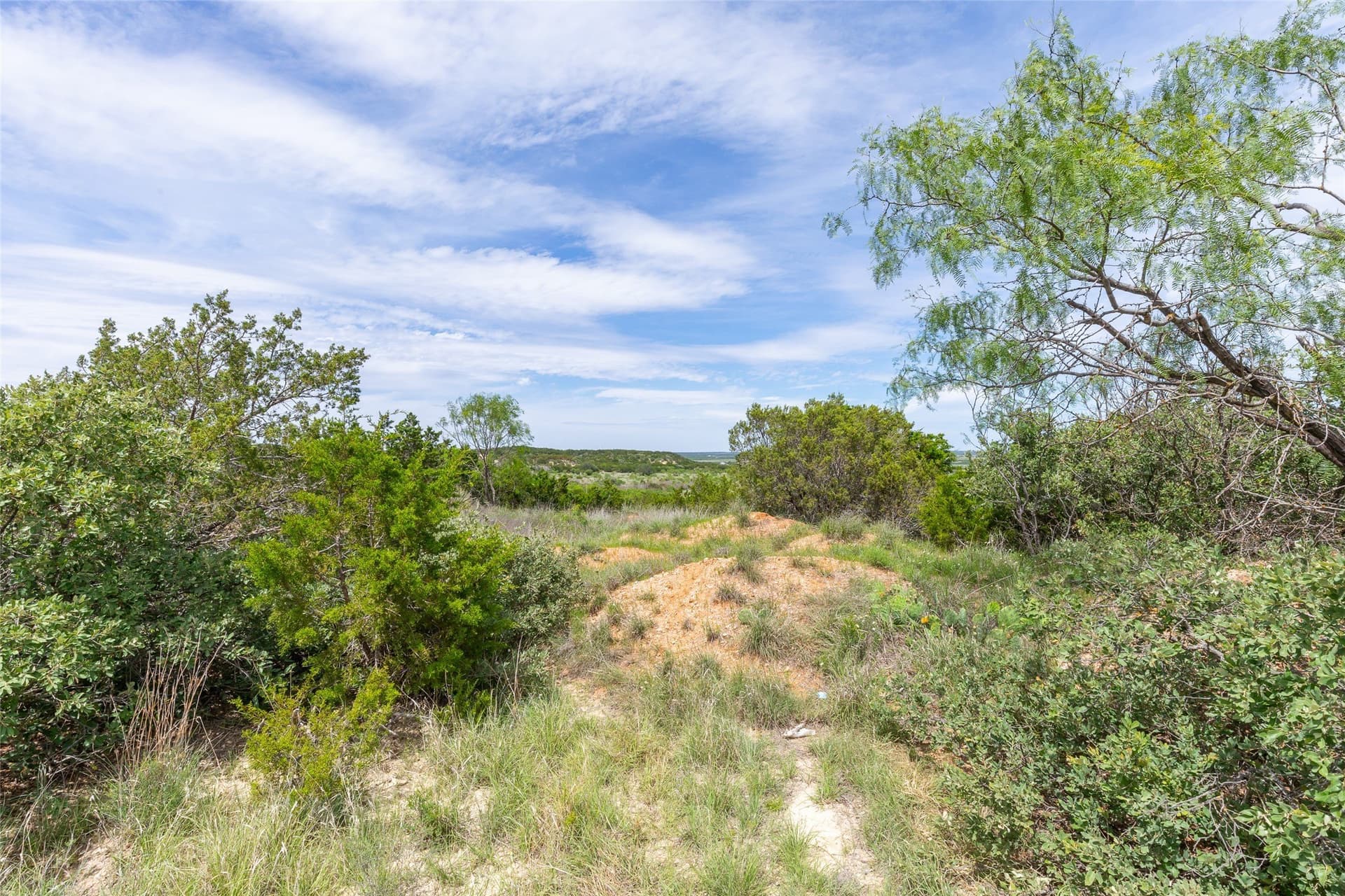201.01 acres in Taylor County - photo 3